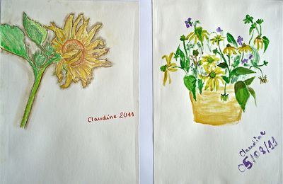 fleurs en Pologne (28/07/11 et 05/08/11)