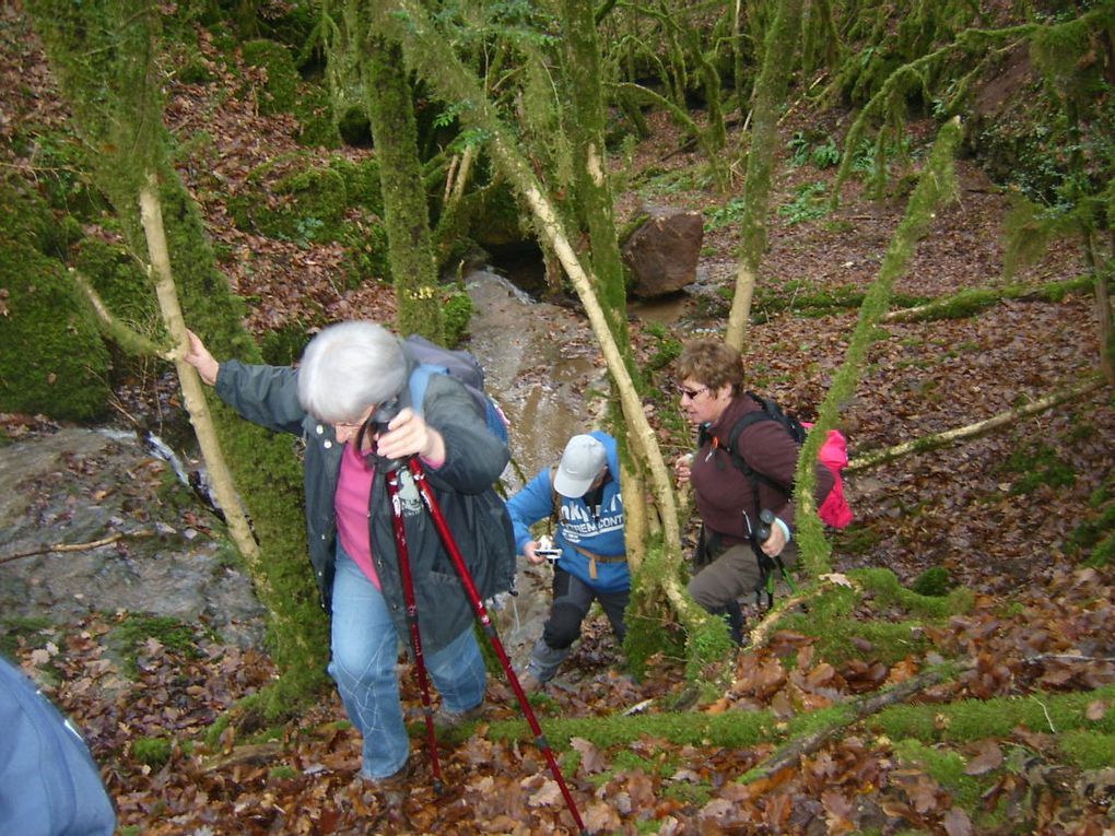 La remontée du ruisseau 