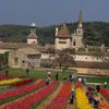 La chartreuse de Valbonne - Tulipes comme en Hollande !! Encore plus de photos...