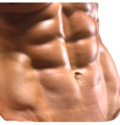 The Truth About Six Pack Abs: Ripped Six Pack Without The BS