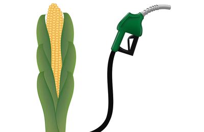 What is biodiesel?