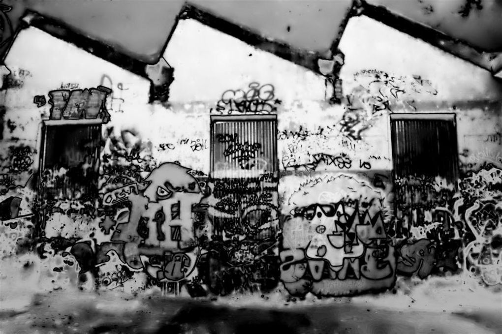 Album - Graff