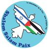 Rassemblement du 4 novembre 2023 à Tulle pour la Paix en Palestine 