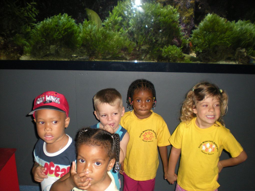 jeudi 22 avril,les tout-petits/petits de Véronique et les petits/moyens de Catrina sont allés à l'aquarium du Gosier .Ce fut une belle journée de découvertes.