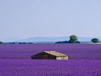On en oublierait presque les couleurs....dans chacune des photos, notre oeil semble attiré par la bâtisse qui donne au paysage tout son cachet et la dimension d'un tableau de maître....et puis le soir, quand le soleil glisse à l'horizon, les couleurs changent à la vitesse du vent, passant du rose au pourpre.....quand je vous dis que cet endroit est magique....