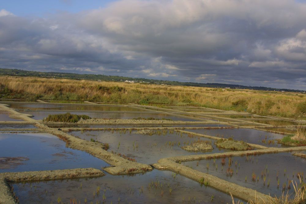 Images des marais salants de Gu&eacute;rande&nbsp;au lever du soleil