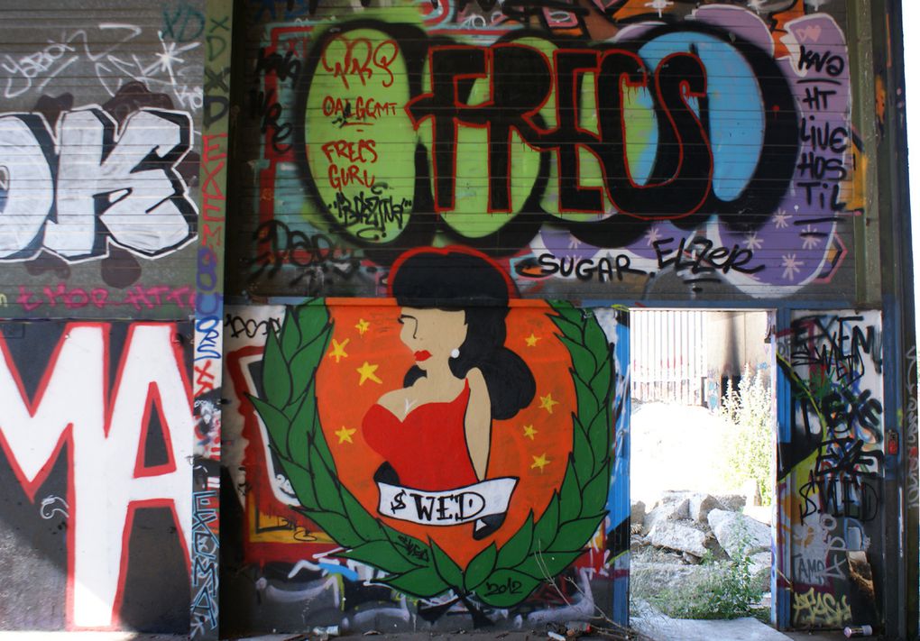 Album - Graffitis-Toulouse-tom-001