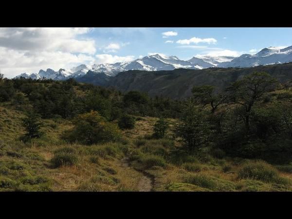 Sur la route... En Patagonie et Terre de Feu