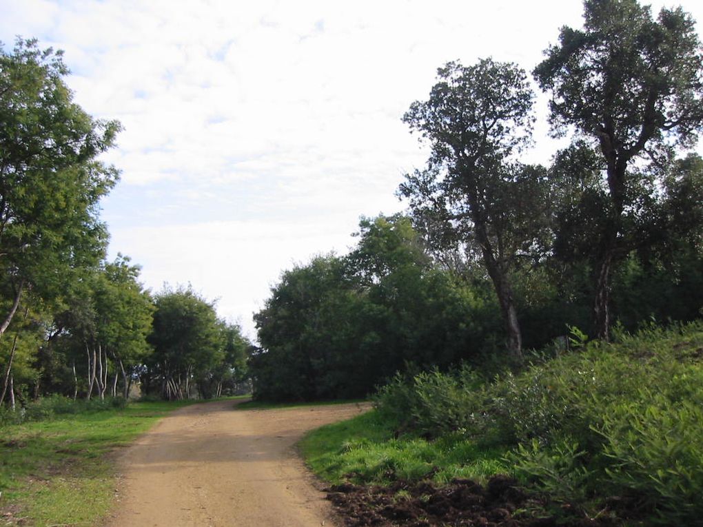 Quelques vues du tracé empruntant les pistes et chemein situés sur le domaine du conservatoire du littoral.