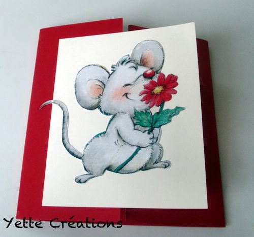 Carte D Anniversaire Ou De Felicitations Souris Yette Creations