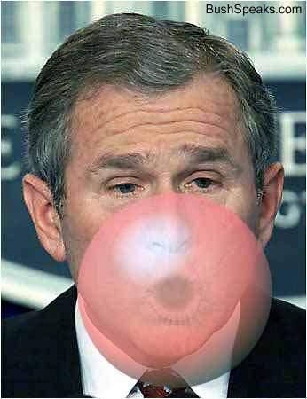 Bush sur le net et plus particuli&egrave;rement sur des sites &nbsp;am&eacute;ricains...