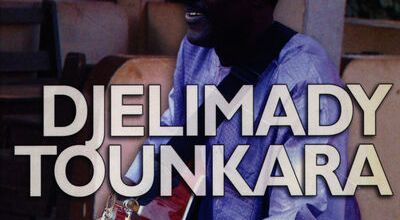 djelimady toukara le mali et sa guitare virtuose
