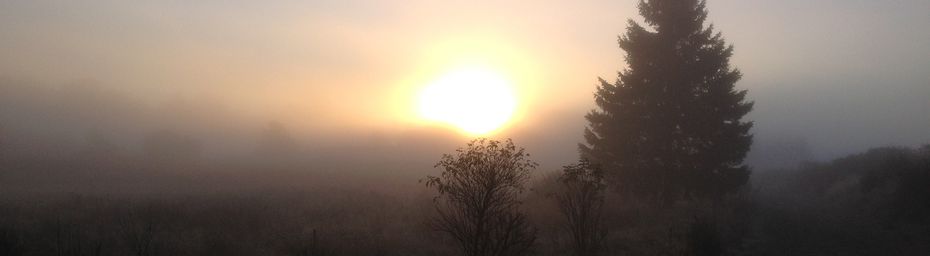 Tourbière au levée du soleil