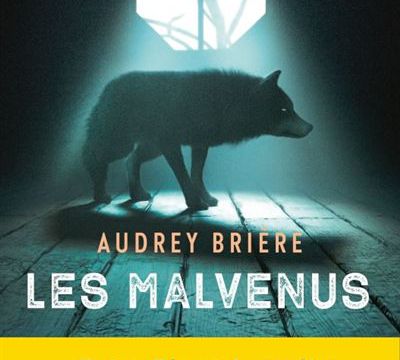 Les Malvenus- Audrey Brière