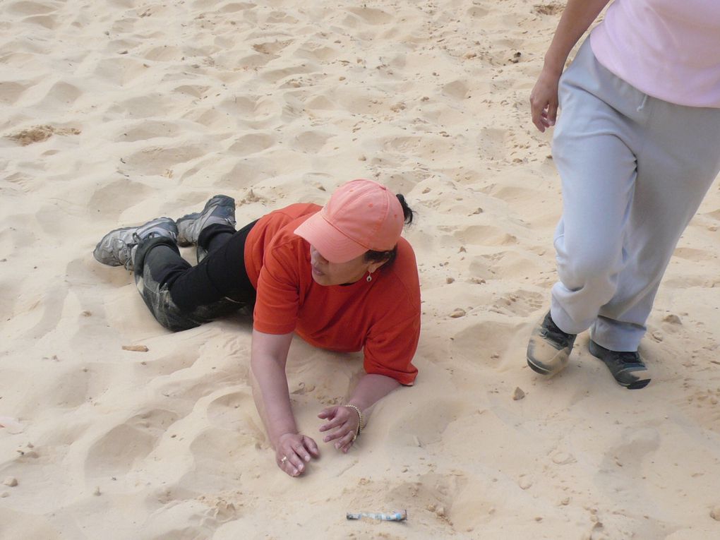 LES ZOUGLOUS 2010-2011 ont pu enfin faire leur première sortie sur les dunes de SAULX LES CHARTREUX et la belle forêt .Une sortie pic-nique est prévue bientôt dans le même lieu .je vous laisse apprecier les photos