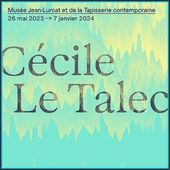 Exposition Cécile Le Talec à Angers - Jongler avec les fils