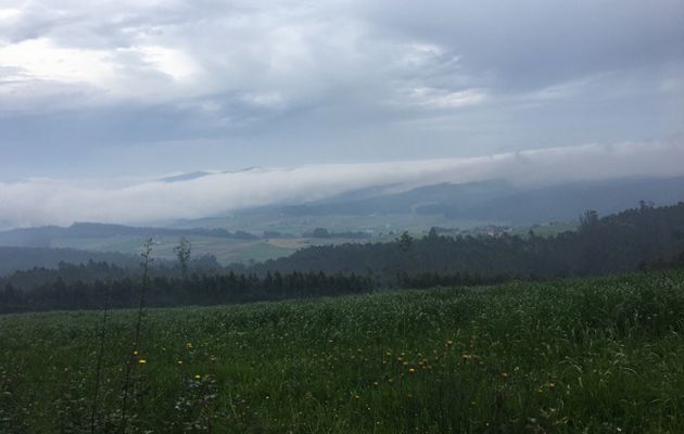 26 mai 2017