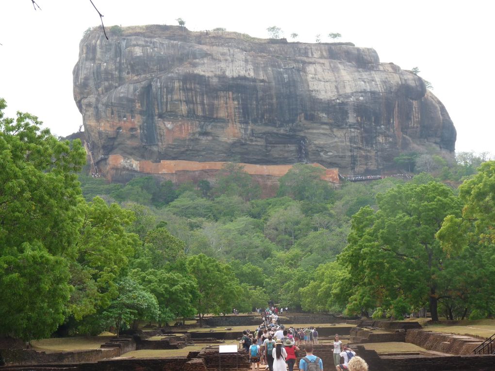 FABRIQUEZ VOTRE VOYAGE AU SRILANKA.