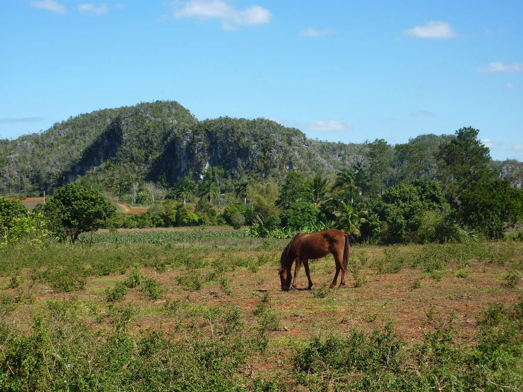 Album photos : Cuba 2013