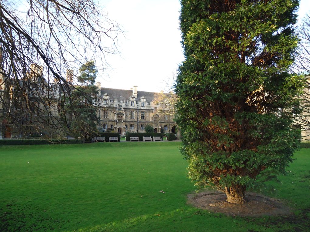 Album - Pembroke-college