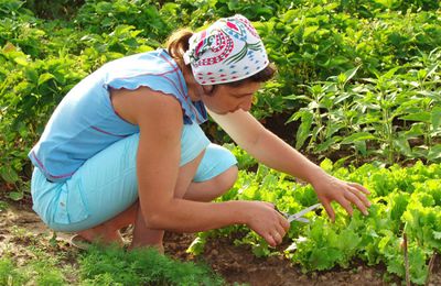 Organic Gardening Tips To Improve Your Family's Health
