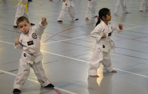 Le Taekwondo Vénissieux fait un tabac