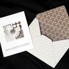 Cartes et enveloppes assorties