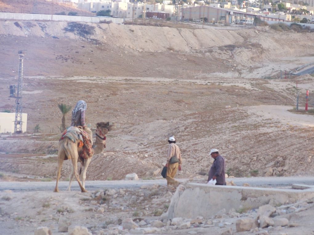 Le désert de Judée / "Après la messe et la descente de l’inclinaison du terrain, les uns grimpent vers un autre escarpement plus élevé, d’autres accèdent à la route en contrebas."