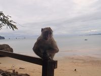 Krabi - Ao Nang