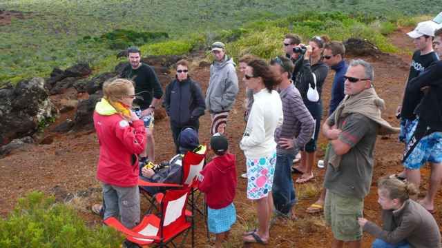 Petits moments à Nouméa ; ballade au Mont Koghi ; formation baleines pour Cricri avant la saison ; saison des baleines au Cap de Prony pour Cricri.