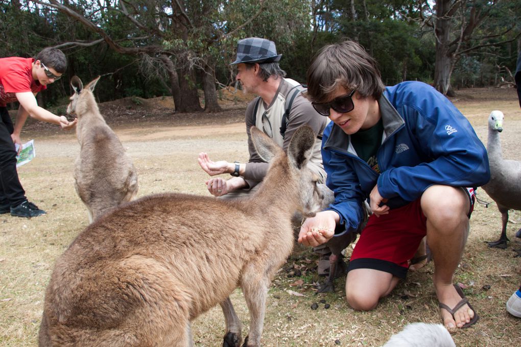 Album - bonus-Tasmanie