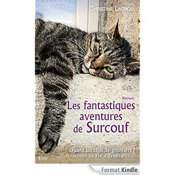 Une histoire de chat