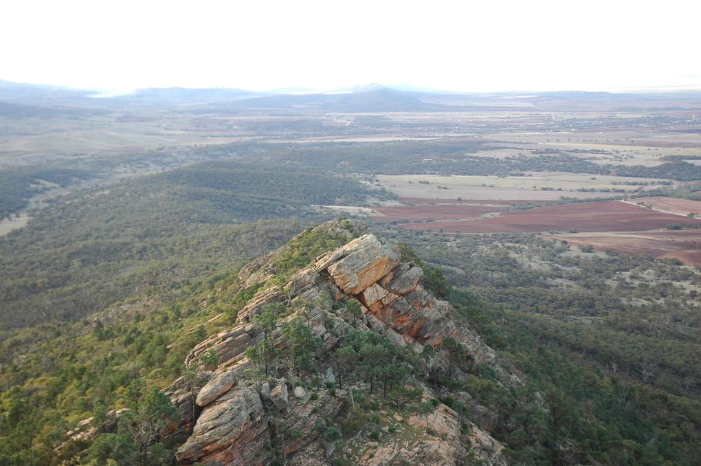 Album - 38 Outbacktrip von Prot Augsta nach Alice Springs - Teil 1