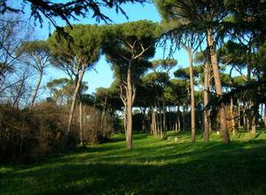 LES PARCS DE ROME