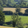 Le bocage,un milieu qui ne "haie" pas la biodiversité !