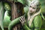 Message de Kimtao, l'Elfe Verte Gardienne du Ginko Biloba