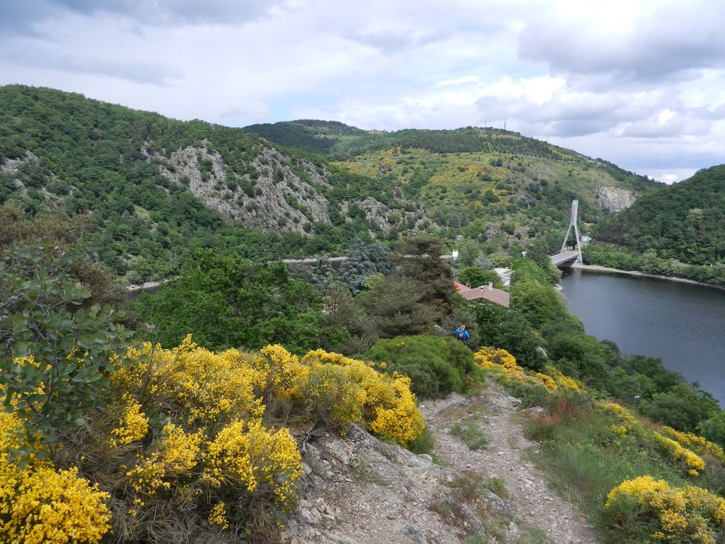 MERCREDI 20 MAI ; L'EPIS ; LE PERTUISET