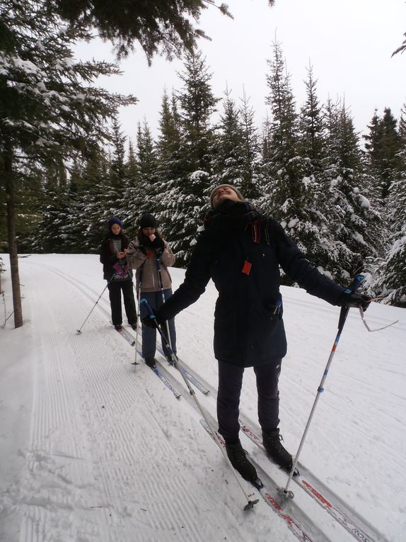 Le ski de fond et les raquettes, l'hiver est vraiment génial au Québec