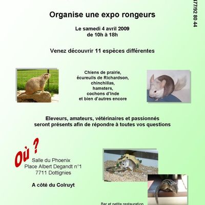 Quatre Pattes et un Coeur