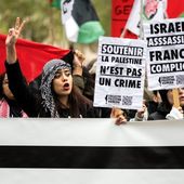 " Apologie du terrorisme ". Les pères fouettards des tribunaux jouent à faire peur