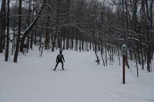 Ski de fond Mont St Bruno