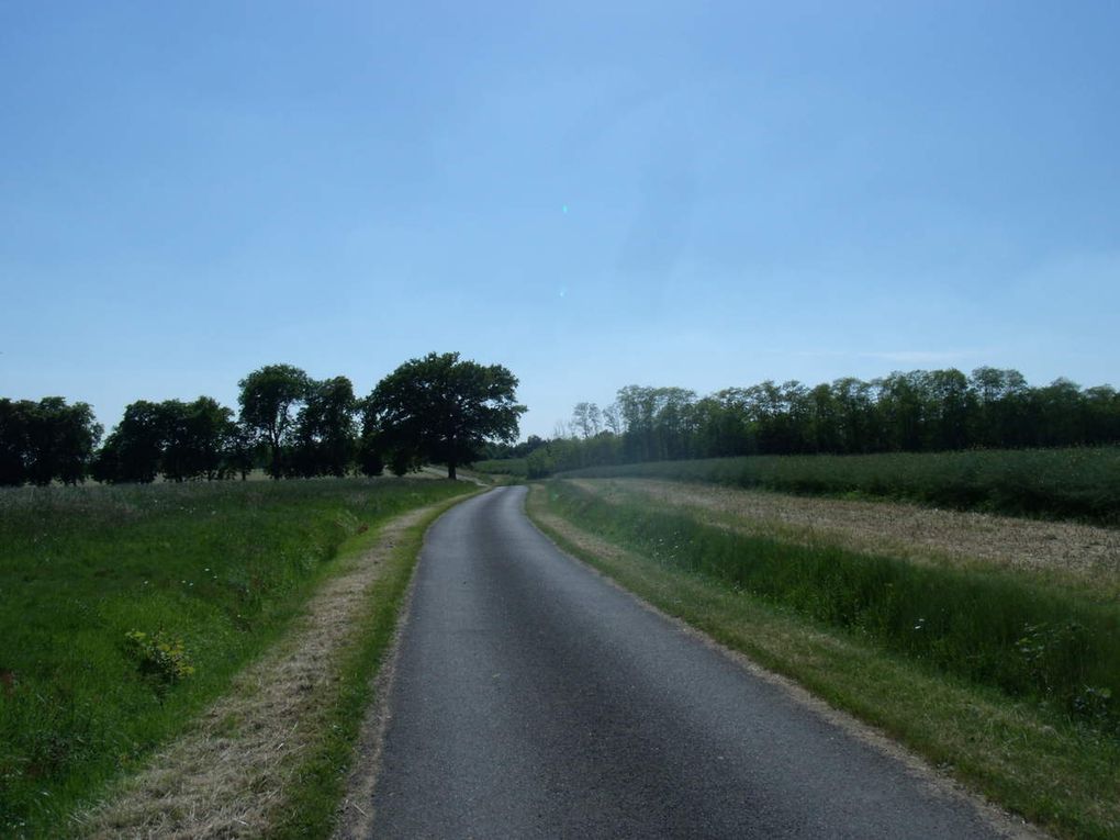 Les bois de Maquillés