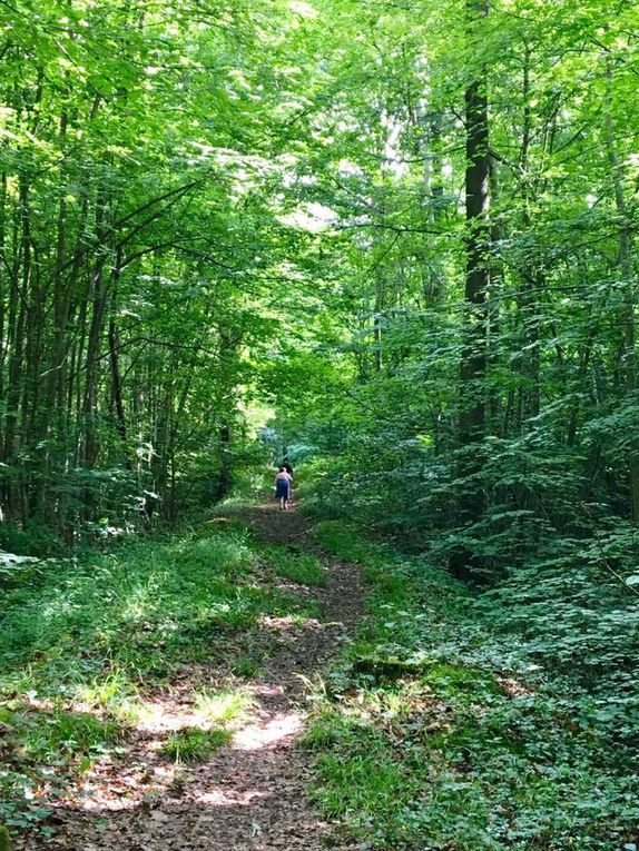 635. Dimanche 4 Juin, Morintru et le Bois de la Barre.