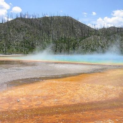 Album - Impressions de Yellowstone