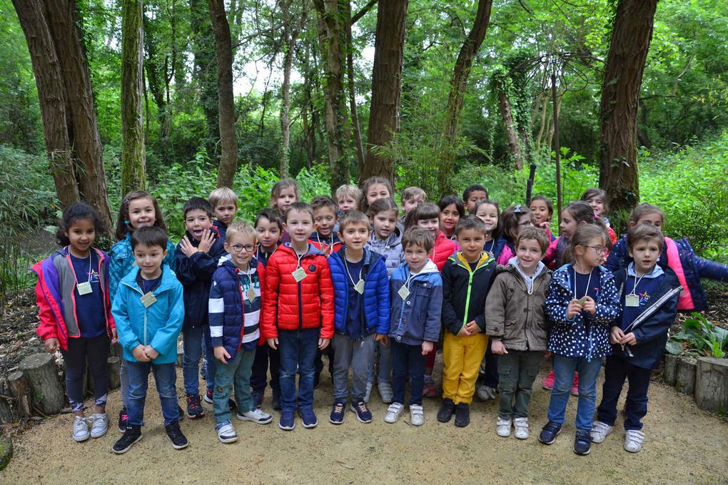 Sortie au jardin des nénuphars GS Rencontre avec...