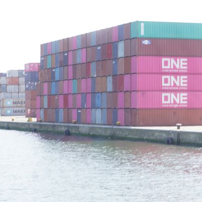 Le port d'Anvers-Zeebrugges: des métiers celui de chef de l'autorité portuaire