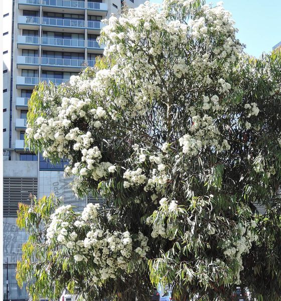 Melbourne .1. Docklands