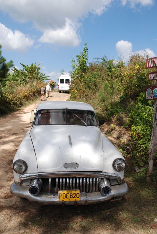 Album - Cuba-Vinales