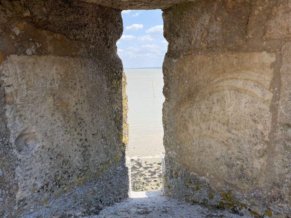 Visite de l'île d'Oléron en Charente