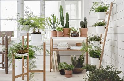 Ikea support plante
